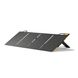 Сонячна панель Biolite SolarPanel 100 (100 Вт) BLT SPD0100 BLT SPD0100 фото 1
